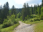 Die ersten Höhenmeter legen wir auf einem Karrenweg zurück