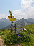 Wir schlagen den Alpenrosensteig ein...