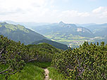 ...und erreichen latschenbewachsenes Terrain