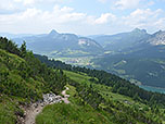 ...und folgen dem Alpenrosensteig zügig bergab