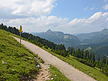 Am Fahrweg angelangt...