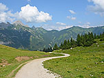 Dem Fahrweg folgen wir weiter...