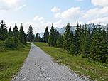 Am Krinnenalplift biegen wir links ab...