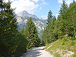 Nun bleiben wir am Fahrweg...