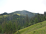 Blick zur Krinnenspitze