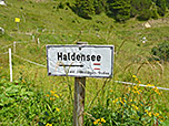 Der direkte Abstieg zum Haldensee...