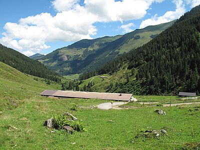 Rückblick zur Baumgartenalm
