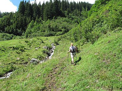 Zuerst entlang eines Bachlaufs...