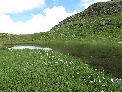 ...bevor wir den nächsten Tümpel erreichen