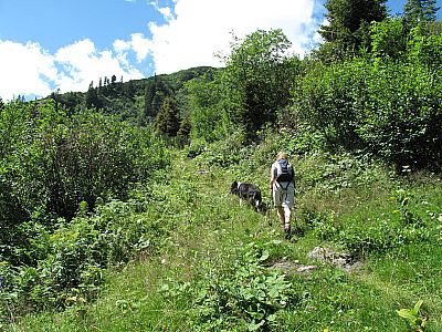 ...und über Wiesen geht es bergauf
