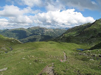 Ein gewohntes Bild: Grüne Matten, ...