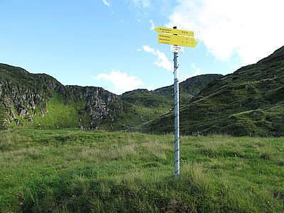 ...und über einen grasigen Rücken...