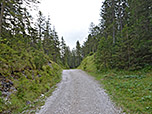 ...folgen wir dem Fahrweg Richtung Esterbergalm