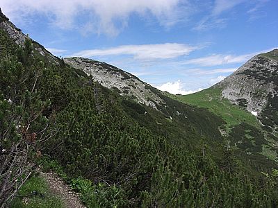 ...welches nun gequert wird