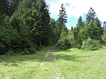 Zuerst in der Ebene