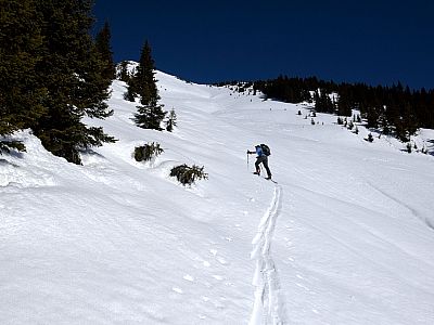 Deutlich steiler steigen wir nun im Südhang des Kuhmesser auf