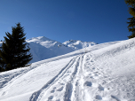 weiter zum Maschentalalm-Hochleger auf