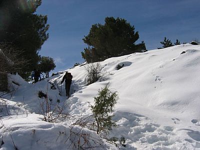 Der Weg wird schmäler und steiler