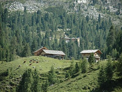 Almen vor der Faneshütte