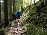 Der Weg durch den Wald unterhalb des Laberköpfl