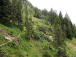Auf dem Schartenkopfweg wandern wir weiter nach Südwesten