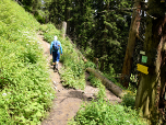 Hier halten wir uns links und wandern zu ...