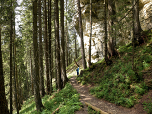 ... durch den Wald nach Westen drehend ...