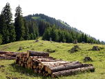 Der Laber vom Weg zur Laberalm aus