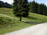 ... und steigen hinter dem Baum links, weiter nach Süden auf.