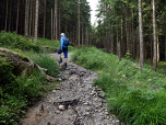 Wir kreuzen einen Forstweg