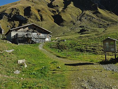 Die Oberen Traualpe liegt direkt am Traualpsee