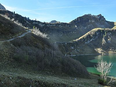 Am Ostufer des Traualpsees ...