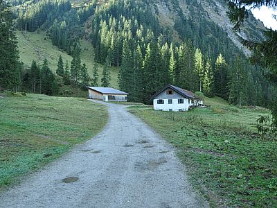Wir erreichen die Untere Traualpe