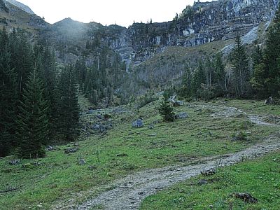 Der Aufstiegsweg zur Oberen Traualpe...