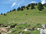 Wir folgen weiterhin dem Wiesenpfad