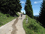 Wir folgen der Teerstraße...