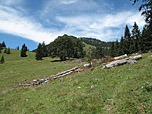 Über eine Wiese geht es sanft bergauf