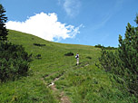 Über eine Wiese wandern wir weiter bergauf...