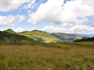 Blick über die Almwiesen nach Norden