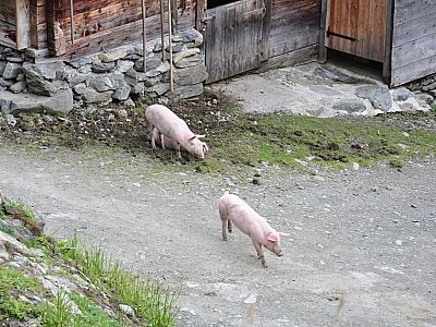 Gemütliche Atmosphäre...