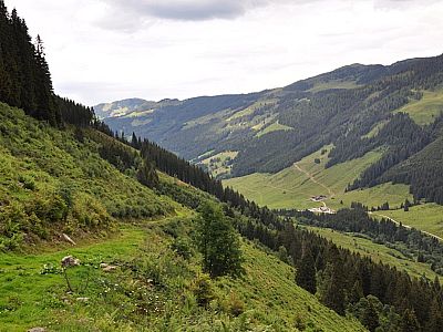 Weiter der Abstieg über Wiesen und...