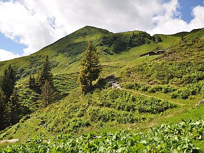 Wie nähern uns der Baumgartneralm (1680 m)