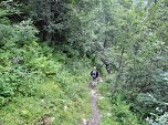 durch den Wald.