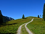 Vor uns liegt die Gipfelkuppe des Längenbergs