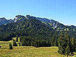 Blick zur Benediktenwand