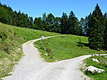 ...wandern wir zu einem Abzweig...