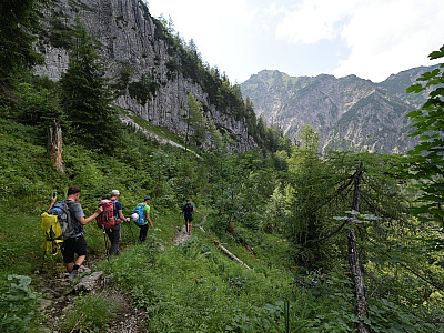 Im unteren Teil wird es wieder grüner ...