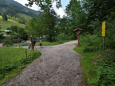 Kurz vor der Griesner Alm treffen wir wieder auf den Aufstiegsweg