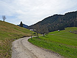 Zu guter Letzt folgen wir einem Fahrweg...