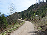 Im leichten Auf und Ab wandern wir Richtung Hochsteinalm